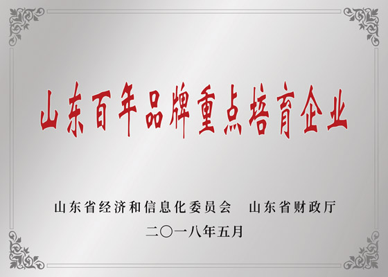 山东省百年品牌重点造就企业